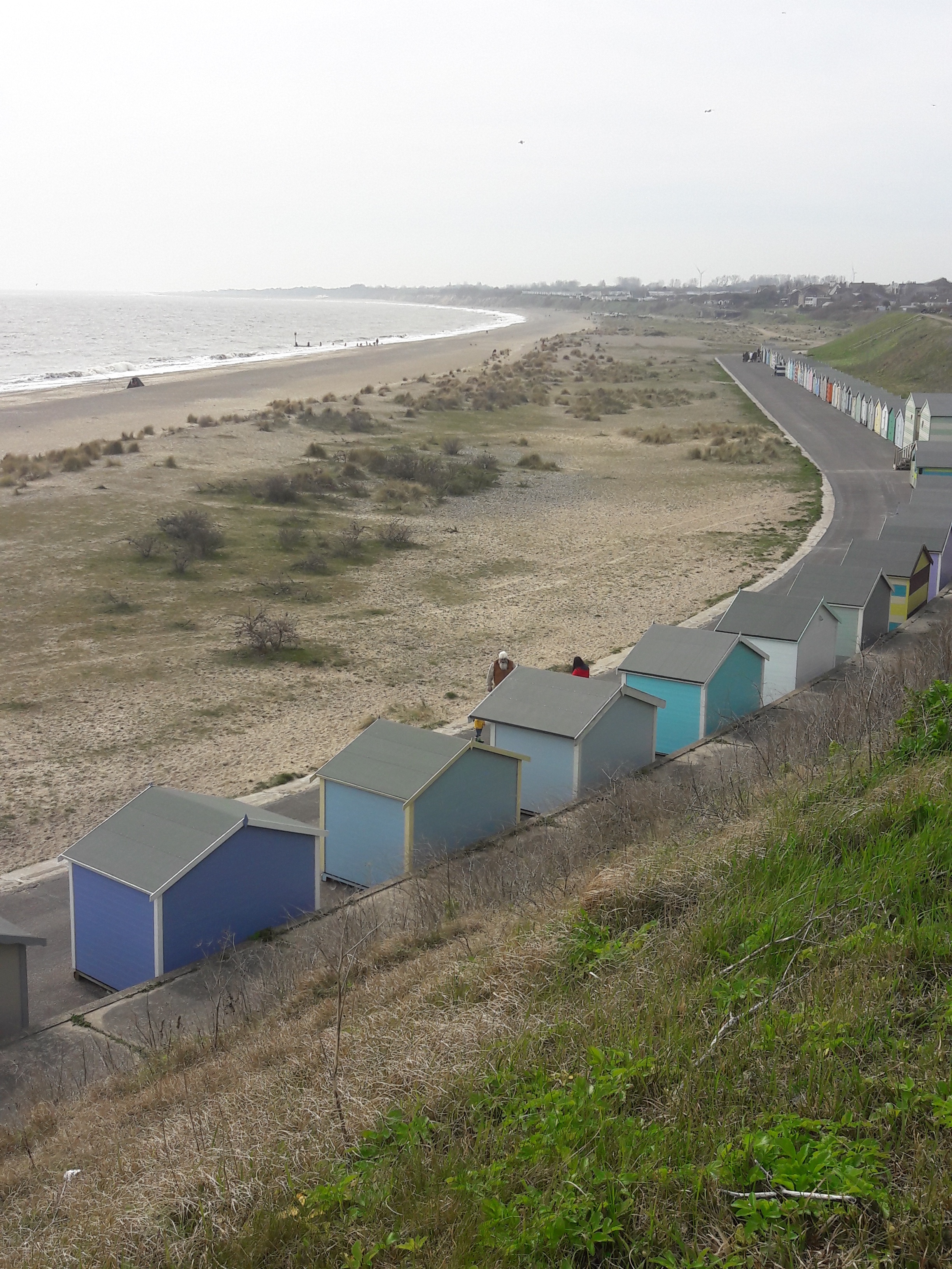 Great walks along the dog friendly beach any time of the year